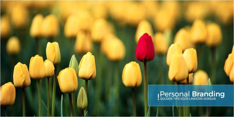 LinkedIn gebruik