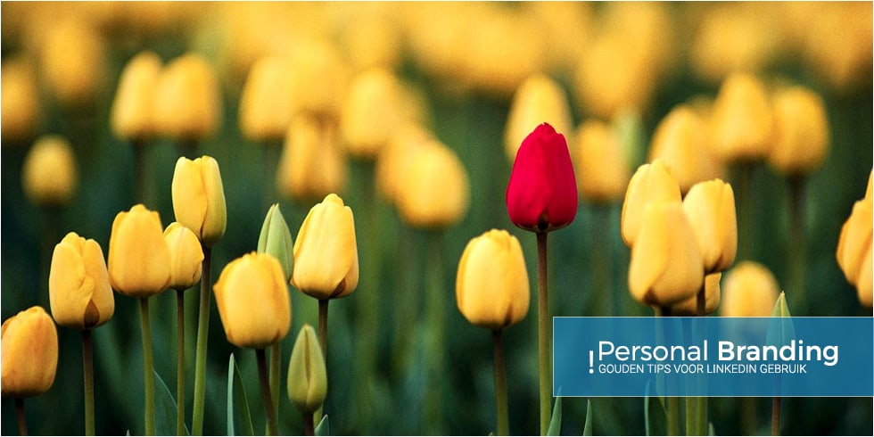 LinkedIn gebruik