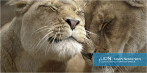 Lion op linkedIn Netwerken