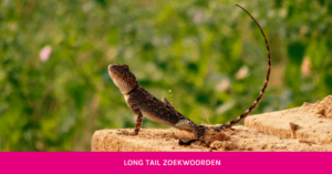 Getbright - long tail zoekwoorden blog