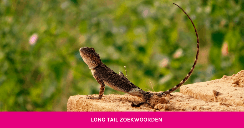 Getbright - long tail zoekwoorden blog